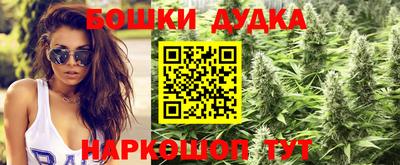 индика Вязьма
