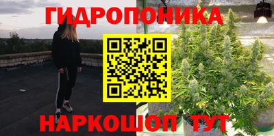 индика Вязьма