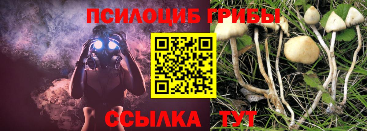 Боровичи  где можно купить наркотик  Вход с VPN  Галлюциногенные грибы MAGIC MUSHROOMS 
